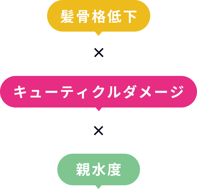 髪骨格低下×キューティクルダメージ×親水度